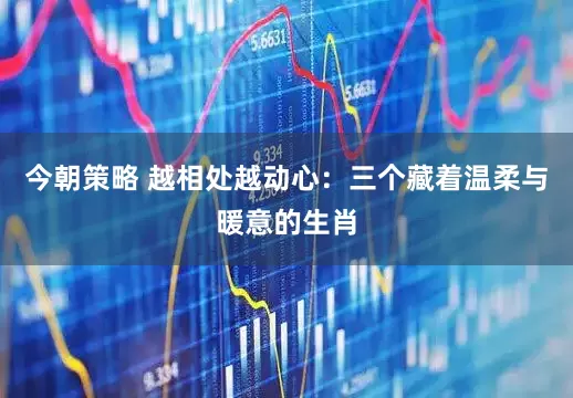 今朝策略 越相处越动心：三个藏着温柔与暖意的生肖